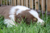 IMG_8151 50